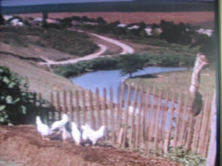 Кузнеці з panoramio.com - Кузнецы