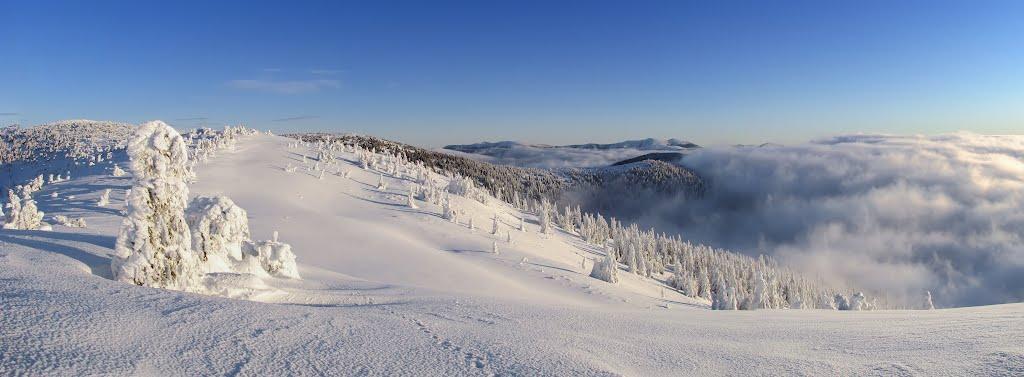 Лопухів з panoramio.com - Лопухов