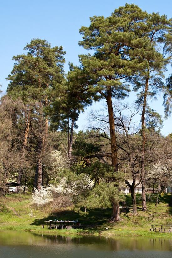 Козлин з panoramio.com - Козлин