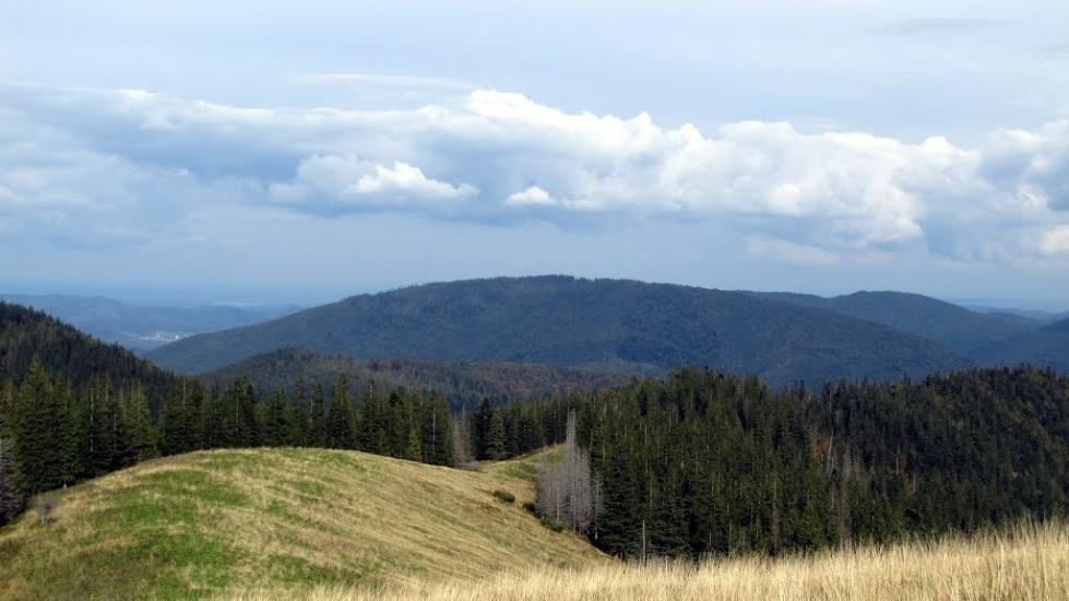 Мислівка з panoramio.com - Мысливка