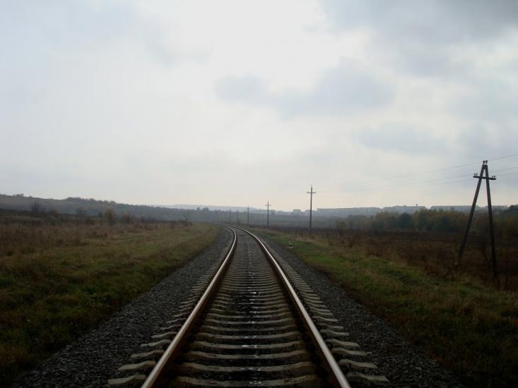Вільхівчик з panoramio.com - Ольховчик