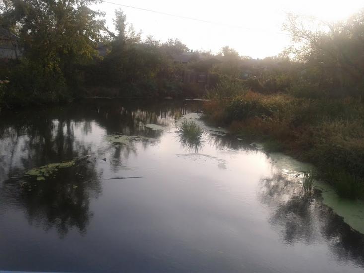 Біле з panoramio.com - Белое