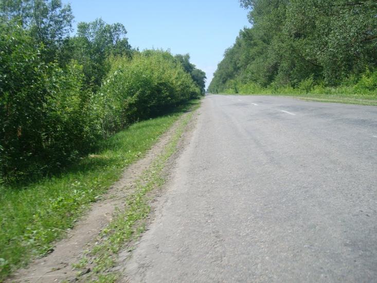 Малашівці з panoramio.com - Malashivtsi