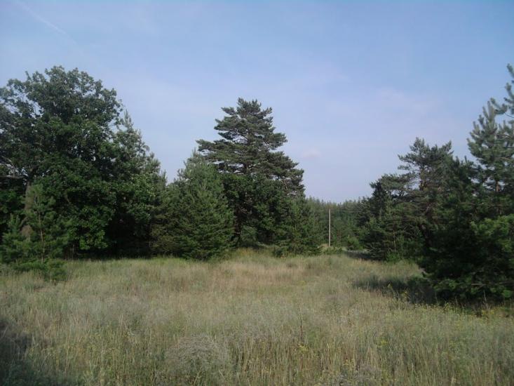 Гвардійське з panoramio.com - Gvardiyske