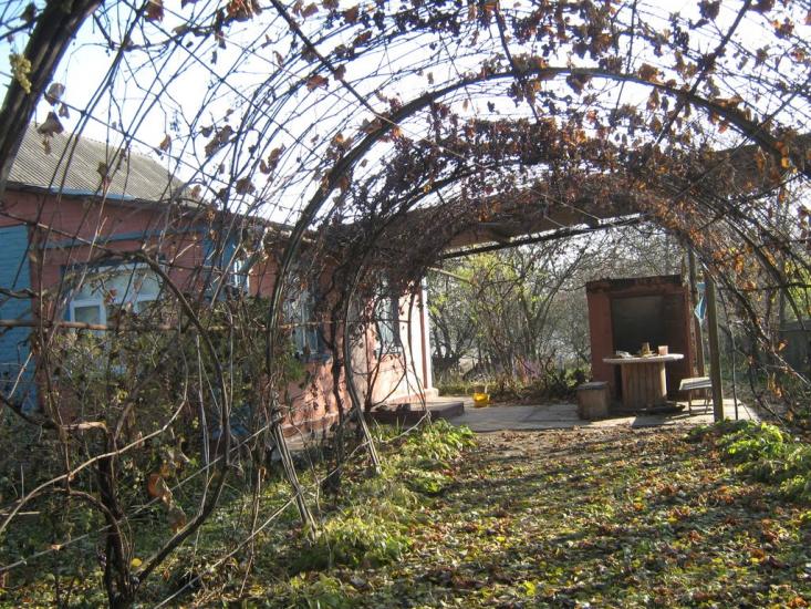 Пінчуки з panoramio.com - Пинчуки