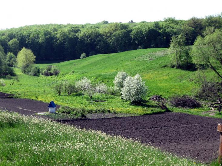 Шкарівка з panoramio.com - Шкаровка