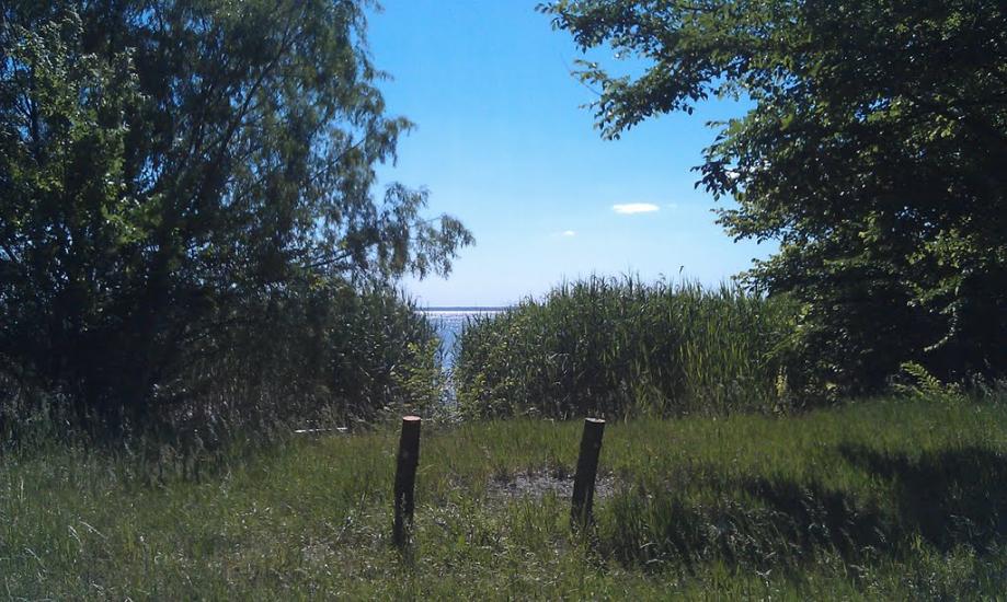Святилівка з panoramio.com - Святиловка