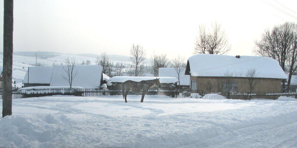 Нижня Яблунька з panoramio.com - Nyzhnya Jablunka