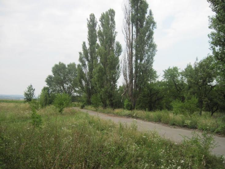 Павлиш з panoramio.com - Павлиш