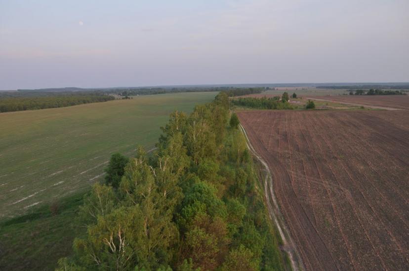 Ряшки з panoramio.com - Ряшки