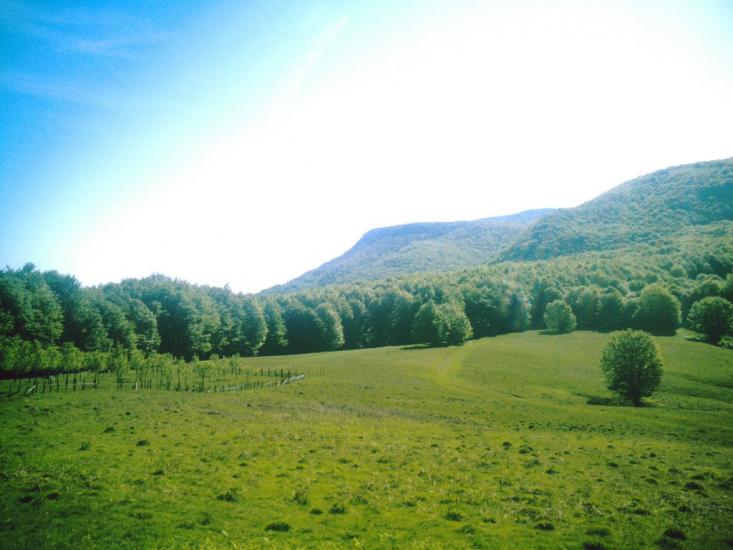 Яблунівка з panoramio.com - Яблоновка