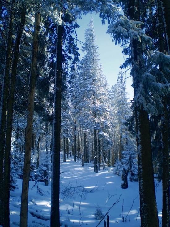Кузьминець з panoramio.com - Кузьминець