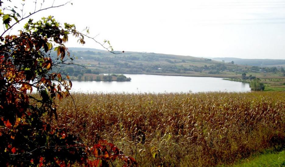 Думени з panoramio.com - Думены