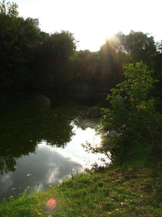 Сковородинівка з panoramio.com - Сковородинівка