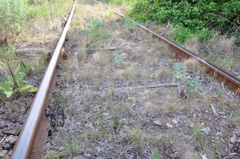 Шарапанівка з panoramio.com - Шарапанівка