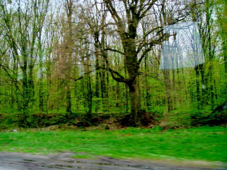 Тараща з panoramio.com - Тараща