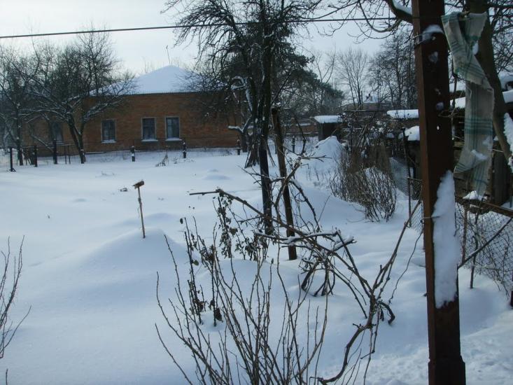 Балахівка з panoramio.com - Балаховка
