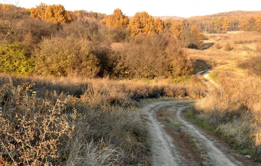 Великий Тростянець з panoramio.com - Великий Тростянець