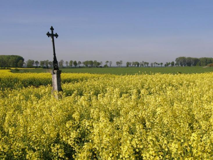Стаївка з panoramio.com - Stayivka