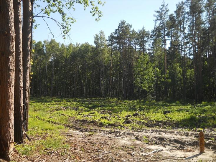 Струмок з panoramio.com - Струмок