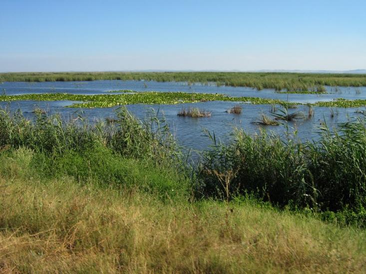 Нова Некрасівка з panoramio.com - Nova Nekrasivka