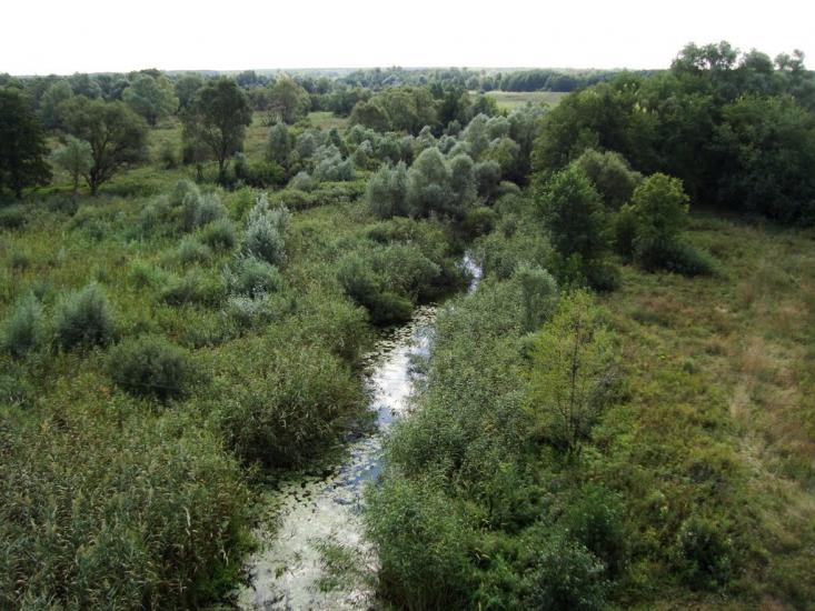 Наталине з panoramio.com - Наталино