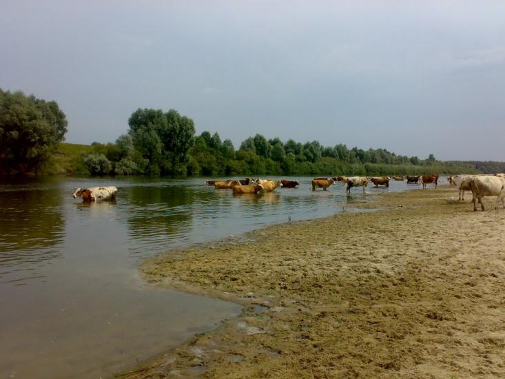 Обмачів з panoramio.com - Обмачів