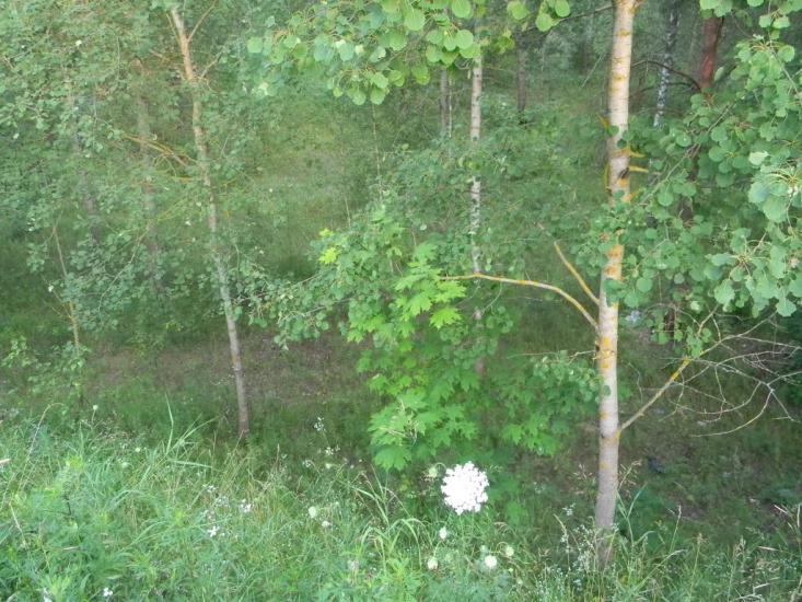 Городня з panoramio.com - Городня