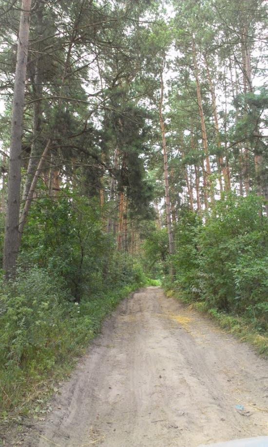 Козлин з panoramio.com - Козлин