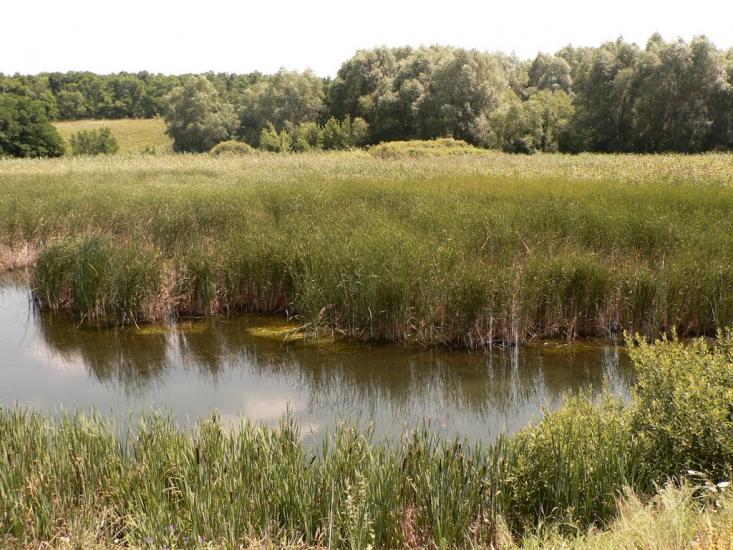 Лутугине з panoramio.com - Лутугино