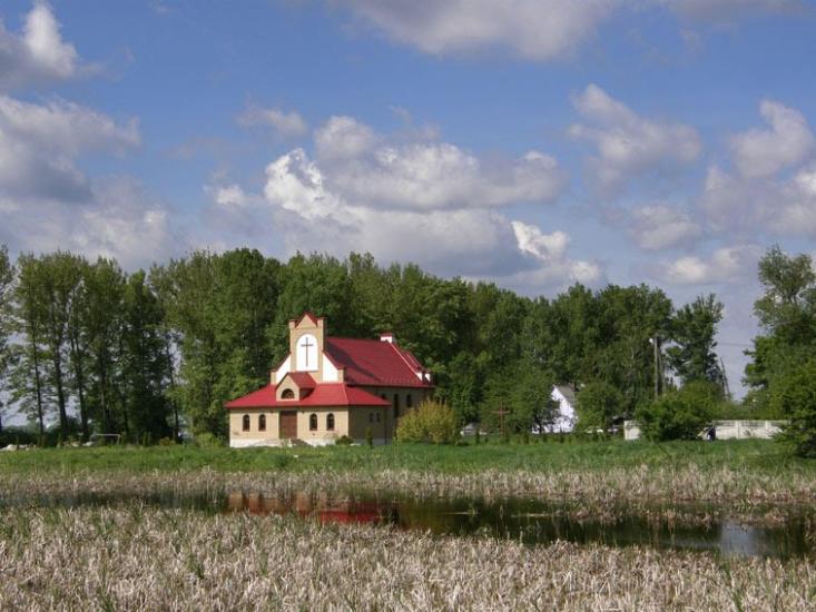 Стаївка з panoramio.com - Стаївка