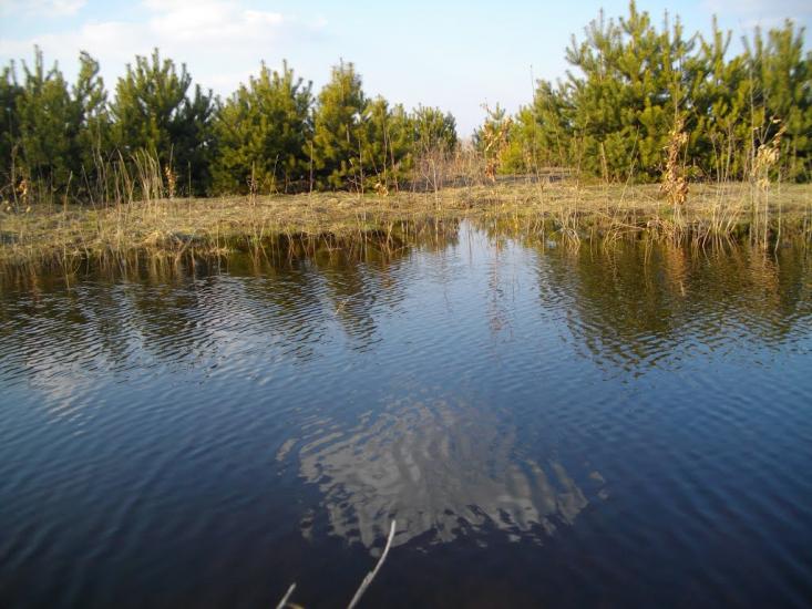 Озеро з panoramio.com - Озеро