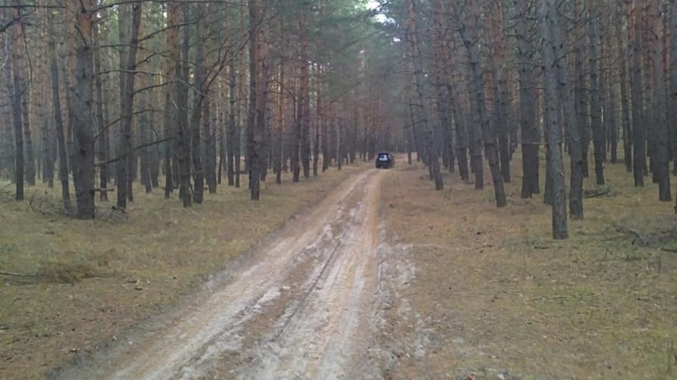 Черкаський Бишкин з panoramio.com - Черкаський Бишкин