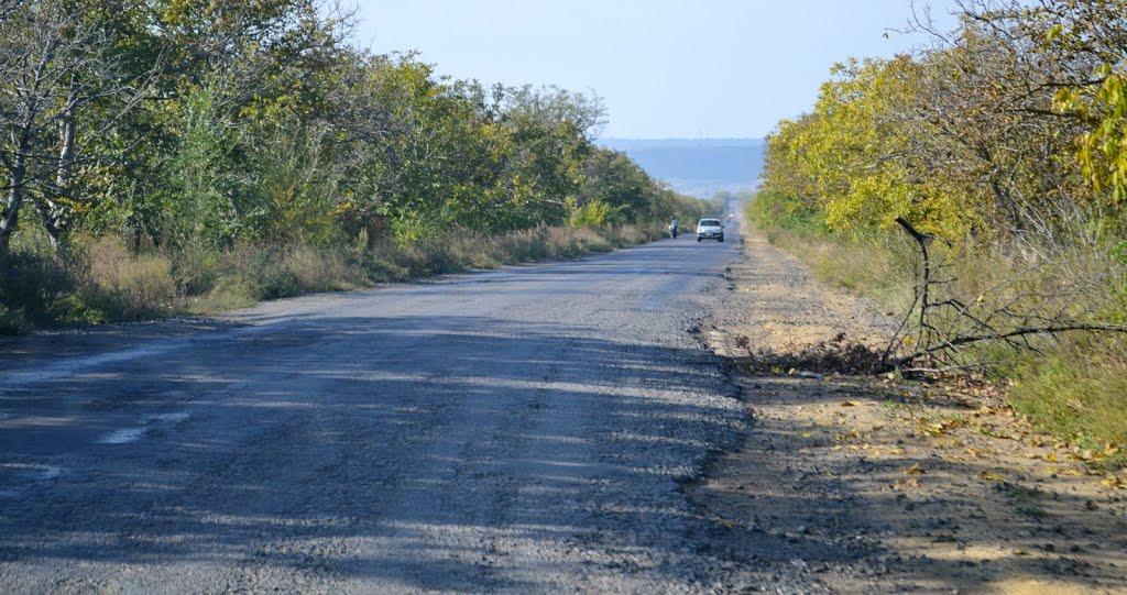 Матишівка з panoramio.com - Матышевка