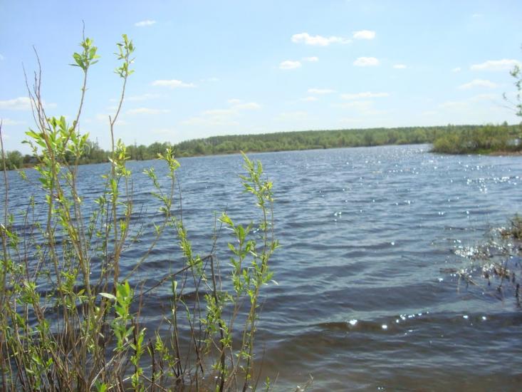 Наталине з panoramio.com - Наталино