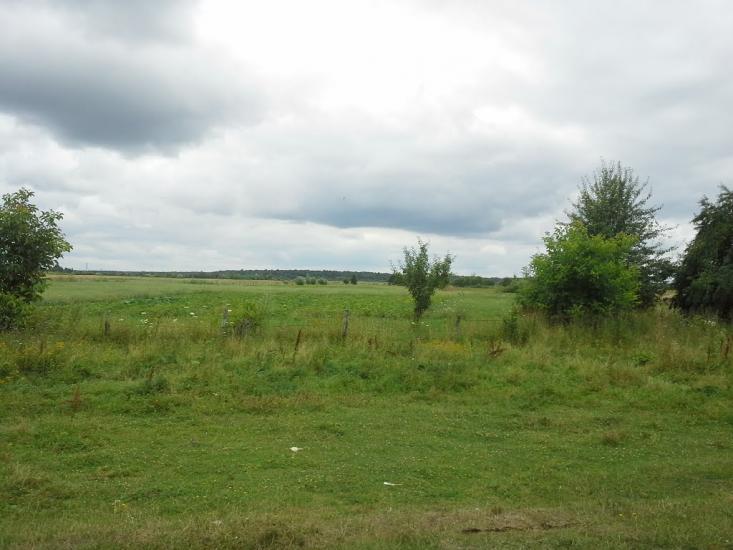 Сошники з panoramio.com - Сошники