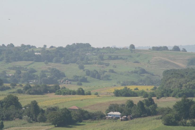 Тарасівці з panoramio.com - Тарасовцы