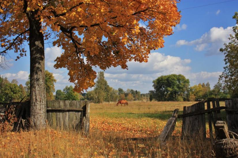 Бурімка з panoramio.com - Burimka