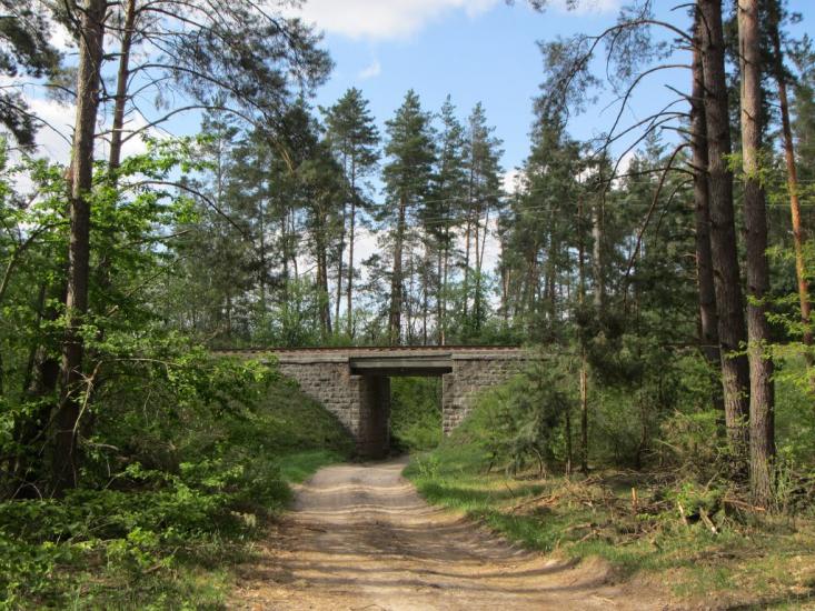 Дмитрівка з panoramio.com - Дмитровка