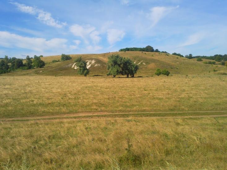 Могриця з panoramio.com - Mogrytsya