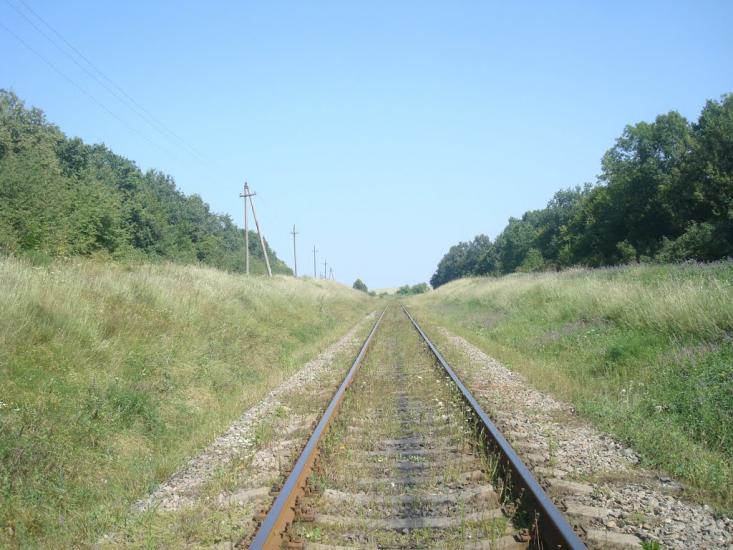 Тарасівка з panoramio.com - Тарасовка