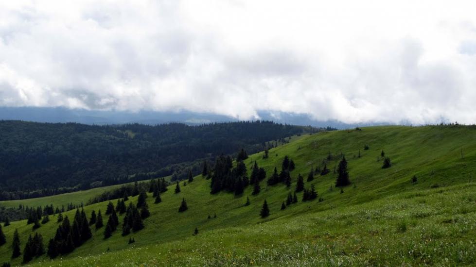 Завийка з panoramio.com - Zavyyka