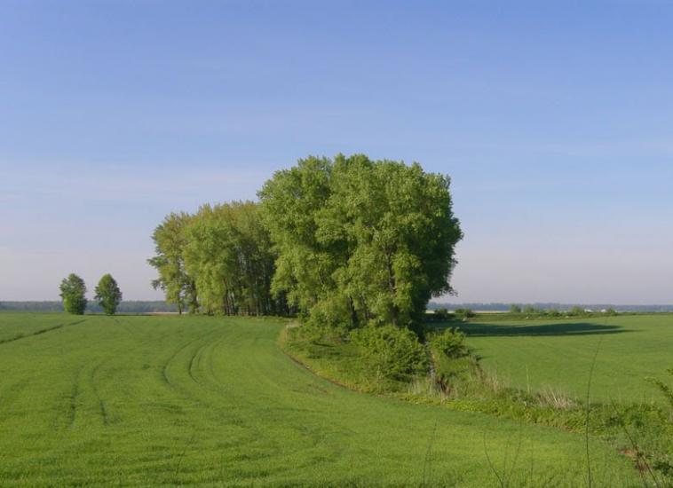 Стаївка з panoramio.com - Stayivka