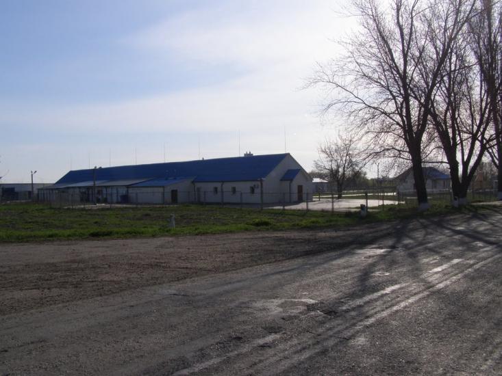 Пінчуки з panoramio.com - Пинчуки