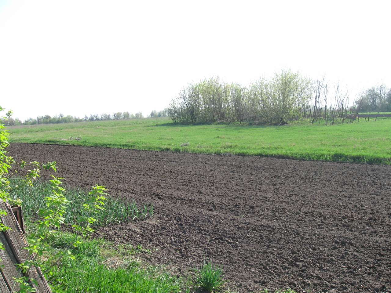 РІДНЕ - Коломийцево Озеро