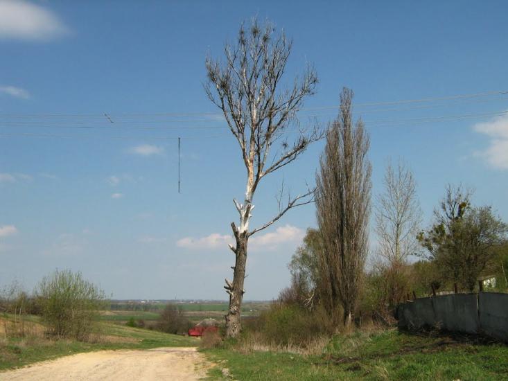 Гряда з panoramio.com - Гряда