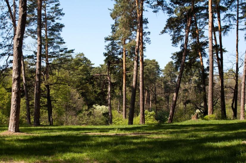 Козлин з panoramio.com - Козлин