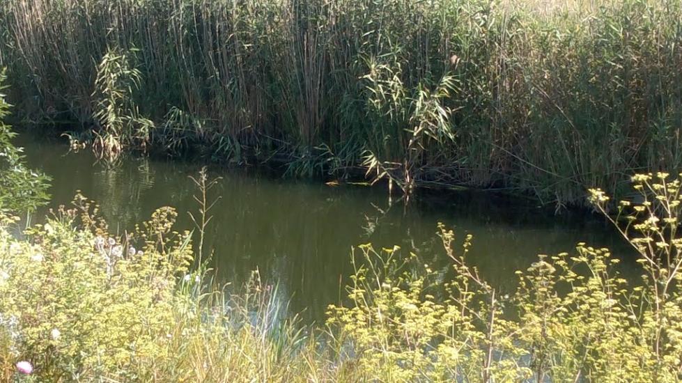 Райгородка з panoramio.com - Райгородка