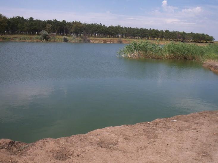 Баштанка з panoramio.com - Баштанка