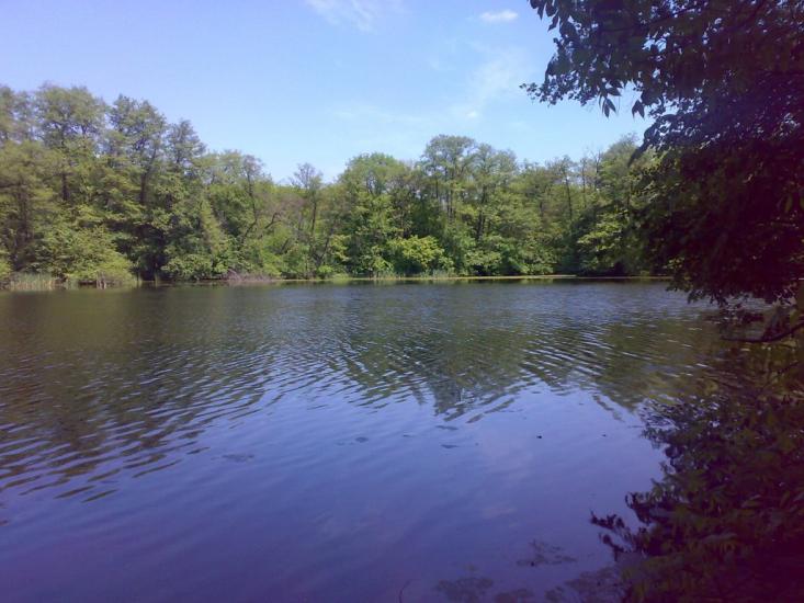 Підлісне з panoramio.com - Pidlisne